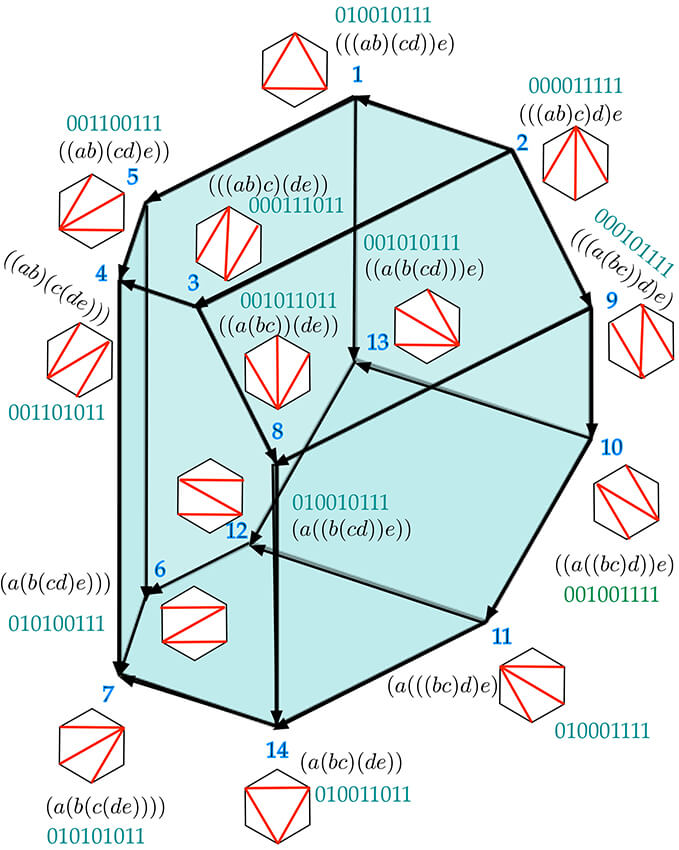 associahedron-trees-words